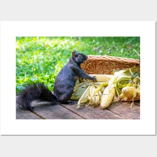 Squirrel is happy to find a basket of corn on the cob Posters and Art